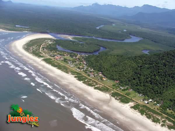 Junglez Eco Hostel Guarau Екстер'єр фото