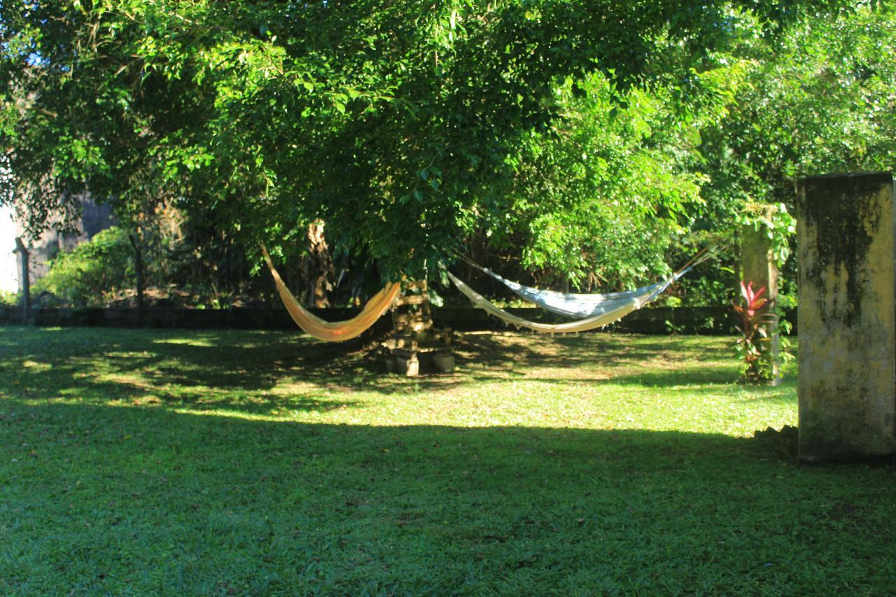 Junglez Eco Hostel Guarau Екстер'єр фото