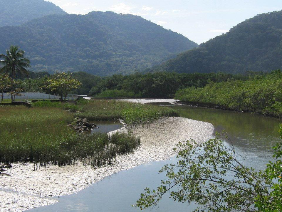 Junglez Eco Hostel Guarau Екстер'єр фото